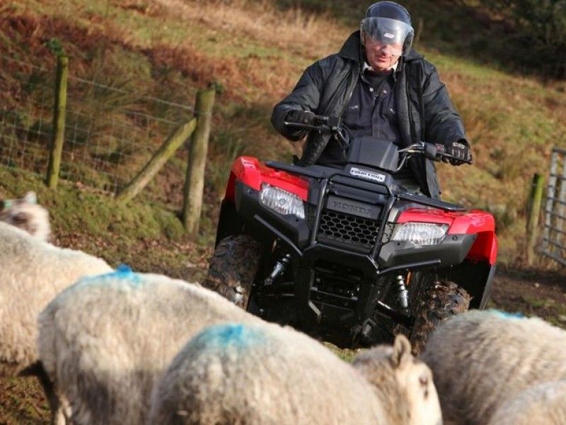 Honda - Fourtrax 420 - Image 6