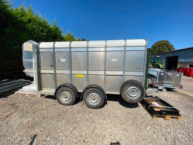 IFOR WILLIAMS - IWTA510X12 BOX TRAILER - Image 4