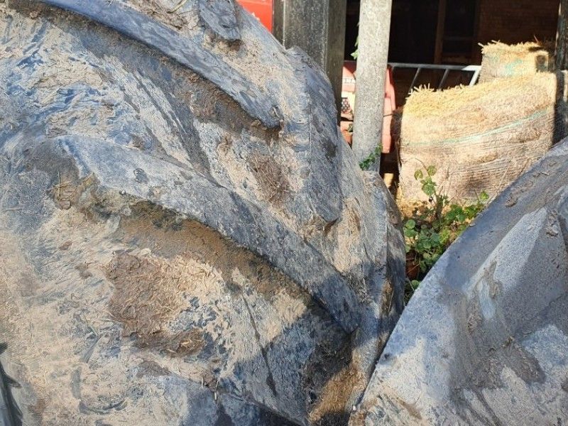 Michelin - BIB x - Image 3