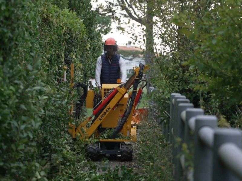 KIROGN - THA270 HEDGECUTTER - Image 4